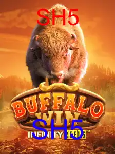 BuffaloWin